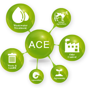 ACE LOGO